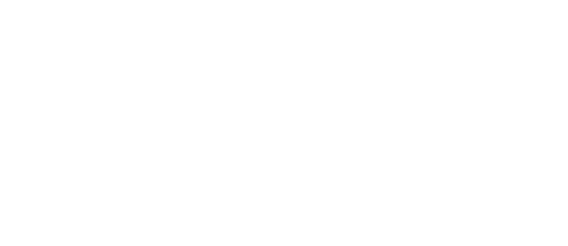 WordPressを今日から使える、ちゃんと使える aquanotes Server アクアノーツサーバー